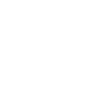 Toto2 500x500_white